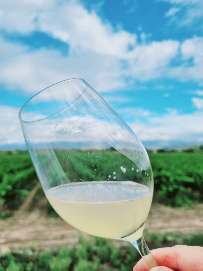 Aquí tenemos el resultado de los primeros mostos 🍇 La primera imagen es del Tempranillo Blanco y la segunda es de Viura 🍷🙌🏻#vendimia2021 #Rioja 
.
Here we have the result of our first wort 🙌🏻🍷 The first image is the Tempranillo Blanco and the second is the Viura 🍇#harvest