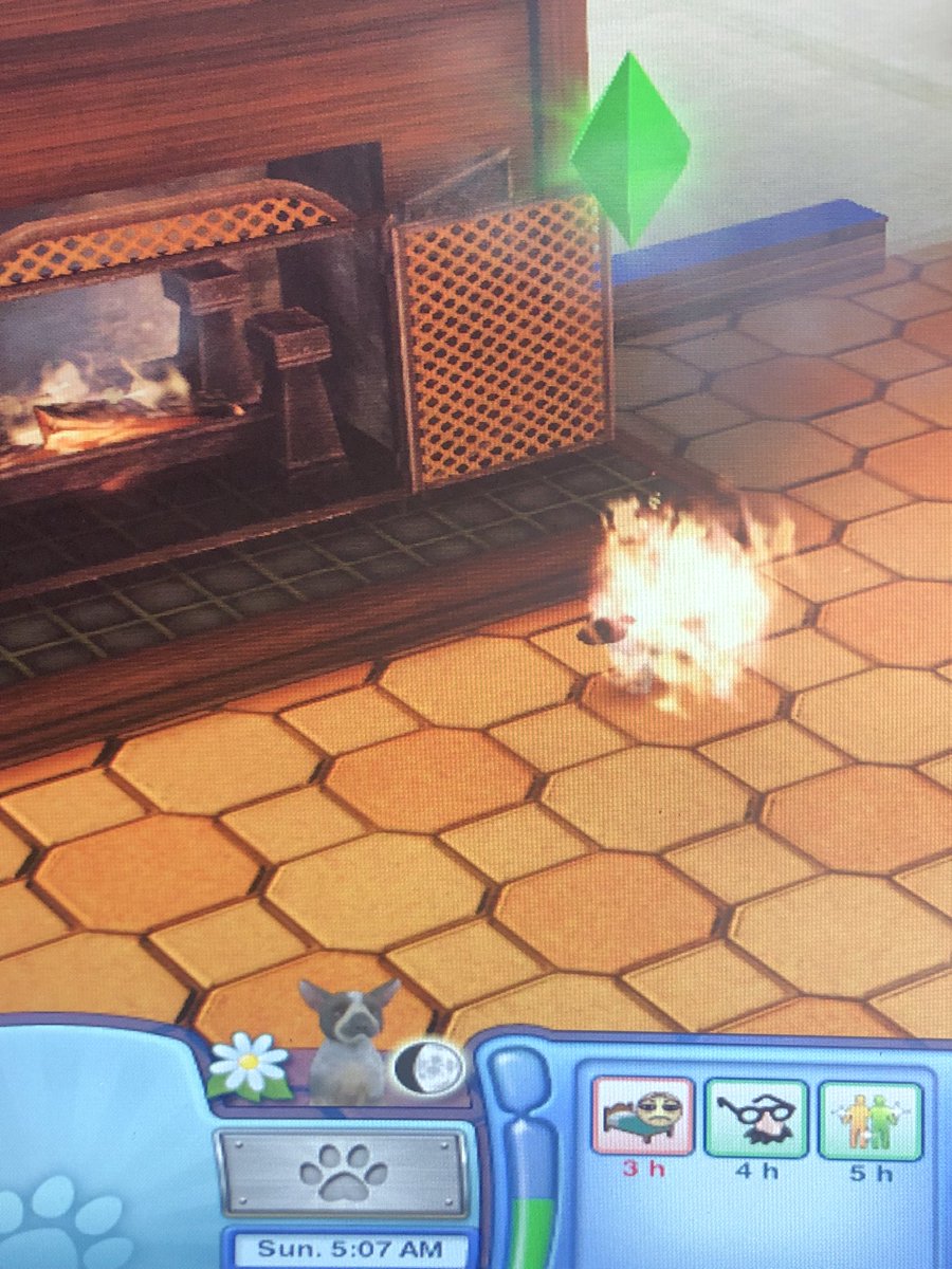 MOokayla7290's tweet photo. My poor puppy caught on fire 😭 #sims3 #heisokay https://t.co/Q8t96Jiuiz