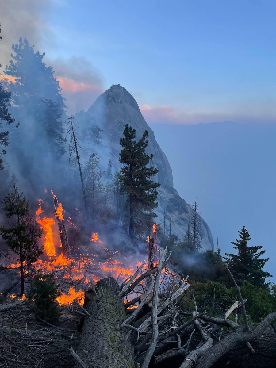 SequoiaKingsNPS's tweet photo. The #KNPComplex is at 48,344 acres &amp; is 8% contained. There are 1,822 ppl assigned to the incident; 49 crews, 72 engines, 39 water tenders, 32 dozers &amp; 11 helicopters. Firefighting resources continue to work to increase containment. For more info, click on the link in bio. https://t.co/48uoCKB3Nk