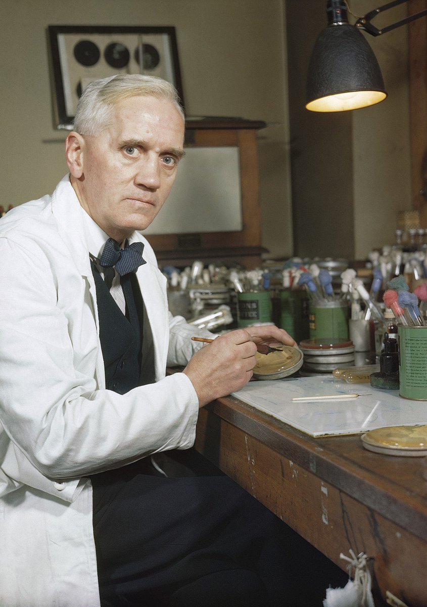 'When I woke up just after dawn, I certainly didn’t plan to revolutionise all medicine by discovering the world’s first antibiotic, or bacteria killer. But I guess that was exactly what I did.” Today in 1928 Alexander Fleming returned from holiday to find mold on a culture plate