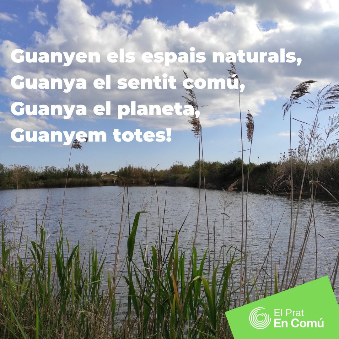 elPratenComu's tweet photo. Celebrem que el DORA aprovat avui no inclogui l'ampliació de l'aeroport!✊🏼

👫Gràcies a la ciutadania que ha dit No a una ampliació sense sentit en plena emergència climàtica.

‼️Seguirem reclamant + i millor protecció dels espais naturals🌱

#niunpammes #menysavionsmesvida https://t.co/ryI7Nv7pl5