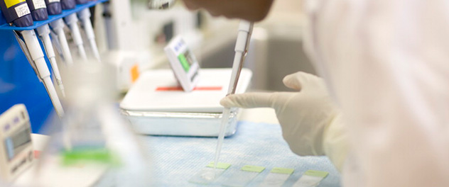 MayoCancerCare's tweet photo. .@MayoClinic's #OvarianCancer SPORE supports research to improve the diagnosis and treatment of ovarian cancer, #FallopianTubeCancer and primary #PeritonealCancer and to better understand susceptibility to these cancers. https://t.co/iXdYFTmOBH #OvarianCancerAwarenessMonth https://t.co/ihbQhLD8LI
