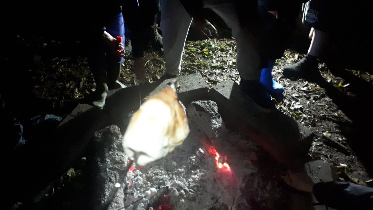 1st7thBarrow's tweet photo. Marshmallow cooking at Urswick - sometimes it easy things that are the best - poured with rain all day but we had faith and stayed dry!! 😃😃 https://t.co/GGaiASRyyM