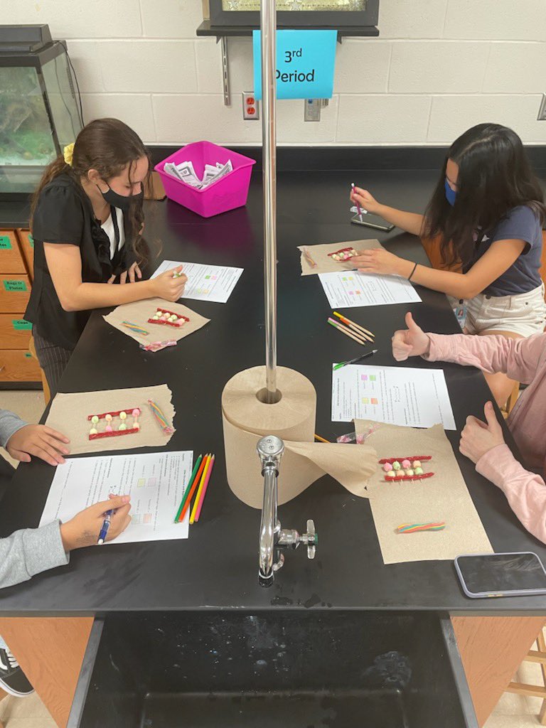 jvhsbio's tweet photo. Today, Biology students learn about DNA replication using candy! Here Mrs. koncaba’s class is modeling replication! What a way to learn :) https://t.co/KJnolhhS21