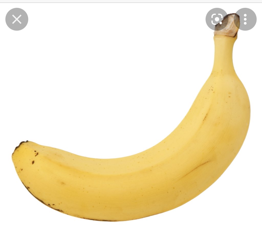 jboerman75's tweet photo. So, today I fished a banana out of the boys bathroom toilet after 8th grade lunch. How was your day? #glcs #glcsms #APoftheyear @MEMSPA https://t.co/M4lhiPvIEQ