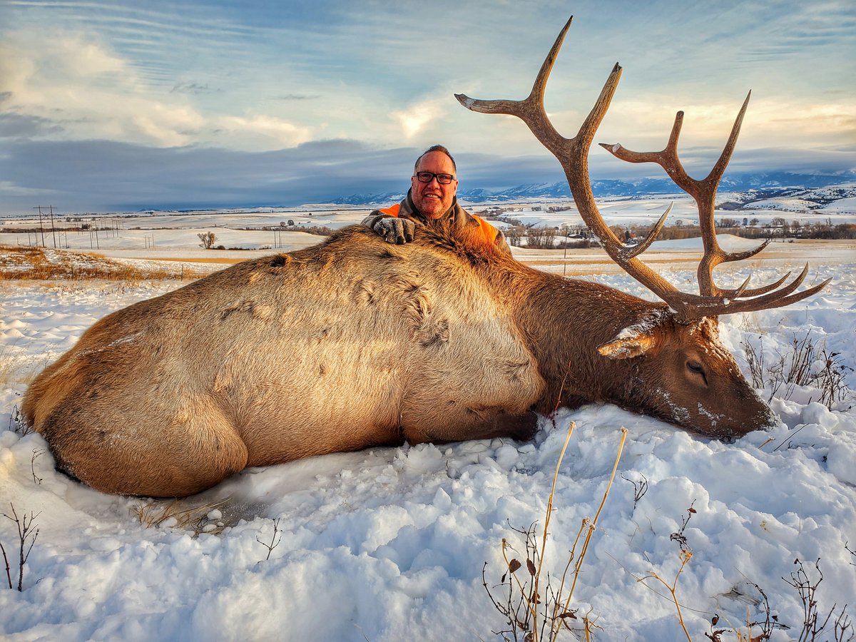 FederalPremium's tweet photo. Every #terminalascenttuesday shows us again and again how our ammo goes beyond your previous limits. Fan Mike I. knocked this big guy down with Terminal Ascent 308 Win at 410 yards! The power is unrivaled and that's why Mike is now a forever fan. #itsfederalseason https://t.co/gCquSpNyT0