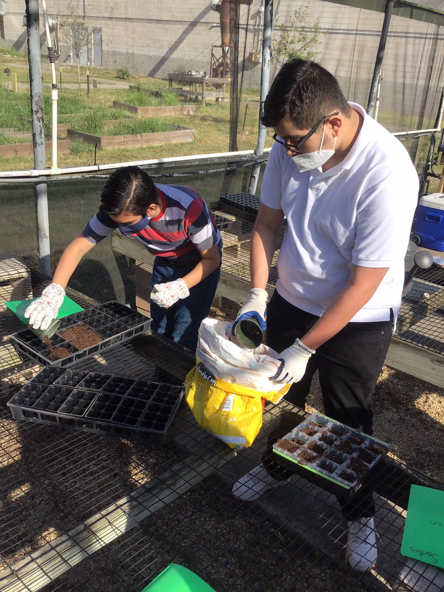 RHHS_Champs's tweet photo. How to plant a seed? Students have researched, studied, and now applying their knowledge to plant their seeds. Cross our fingers we all have green thumbs @RHHS_Bobcats @Asael_Ruvalcaba @ACardenas001 @CoachBlue2 #WeAreRioHondo #BobcatNation https://t.co/Pkc6zYdgsd