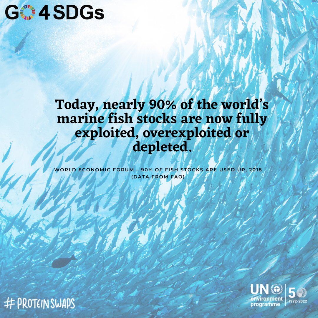 desmond_amazing's tweet photo. Did you know that if the whole world would follow a plant-based diet, we could reduce the land used for agriculture by 76% &amp; the GHG emissions related to food by 49%? Eat more plants!
 
#ActNow #GlobalGoals #AnatomyofAction #ProteinSwaps https://t.co/CXOGqn1b95