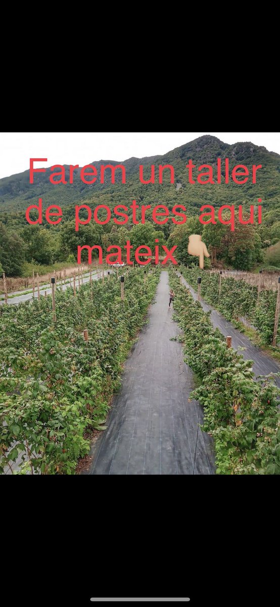 Xocolattaradell's tweet photo. Vols gaudir d’un taller de postres fet al mateix camp on és cultiven els gerds?
Diumenge dia3
17hores
20 persones
8€
Ho gaudireu !
Incripcions per missatge DM
#postres #viladrau #taradell #gerds https://t.co/FfivjZBCzy