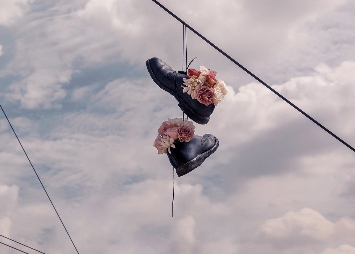 brokedidonato's tweet photo. things I filled with flowers https://t.co/lU82TWeItb