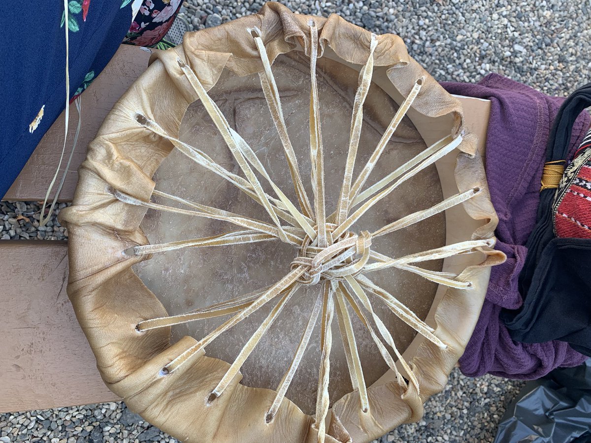 Nora Findlay tweet media