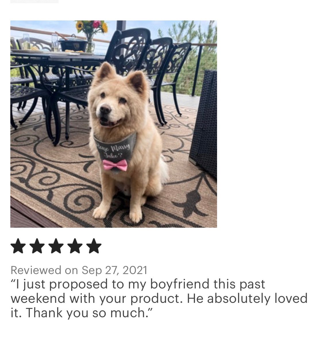 HelloHazelCo's tweet image. Unbelievably cute!!! Look at that sweet face 🐶💕 Pretty sure it’s impossible to ever get tired of proposal reviews. Congratulations, and thank you so much Jake!!! 💍❤️✨

#dogs #proposal #proposalideas #wedding #weddingideas #dogbandanas #dogaccessories #smallbusiness #shopsmall