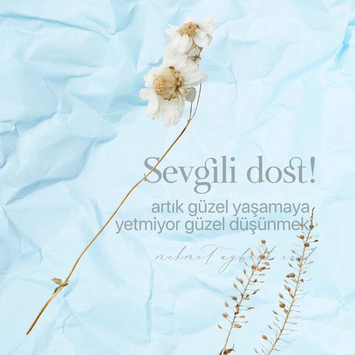 Sevgili dost!

artık "güzel yaşamaya yetmiyor güzel düşünmek."