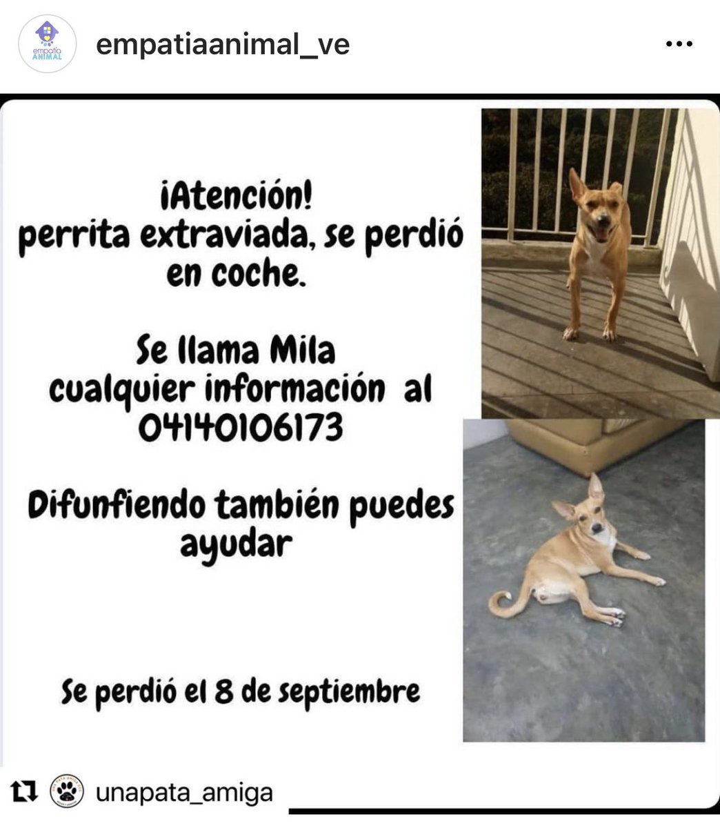 Mila 🐕 se perdió en Coche, su familia la busca, ayúdala a regresar
💔🐾🐶 <a href="/PerroUsuario/">PerroUsuario Wof '•'</a>