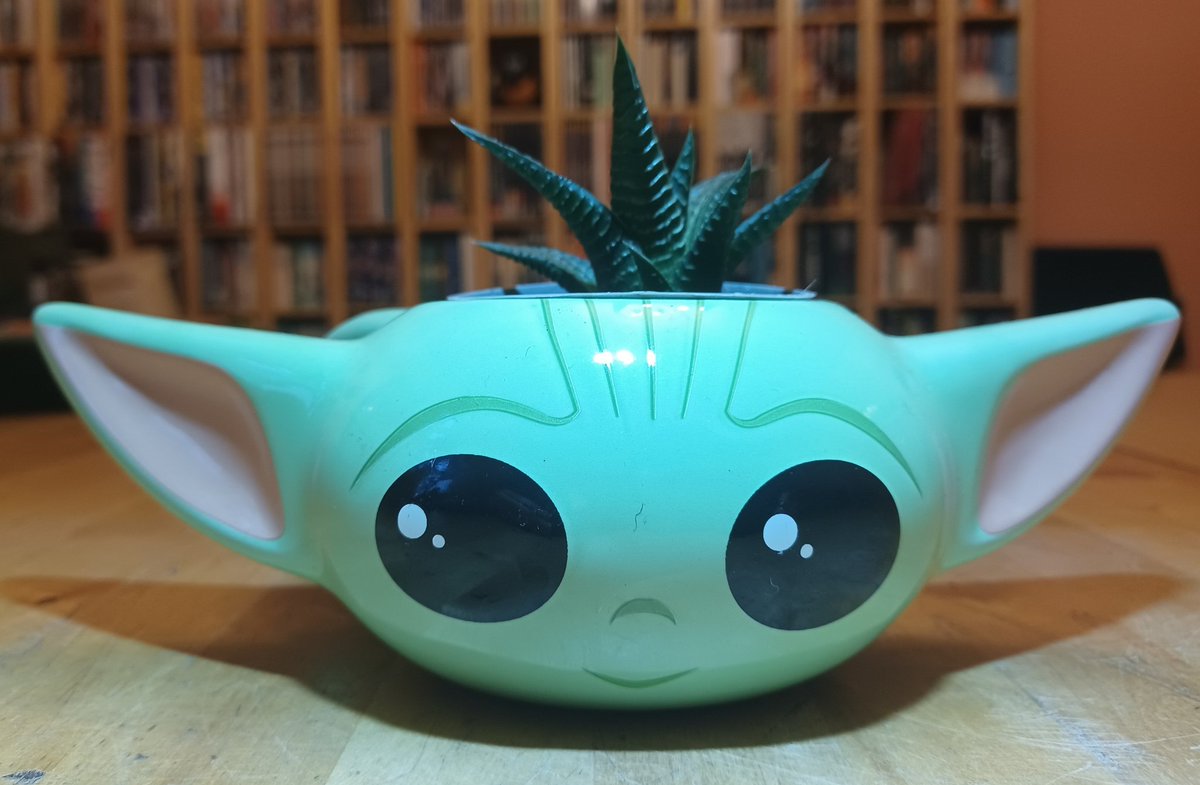 Rickretweets's tweet photo. A mug repurposed as a plantpot, currently housing haworthia limifolia. Very silly, kinda cute. #HouseplantHour #planttwitter https://t.co/1HdHKSxUcn