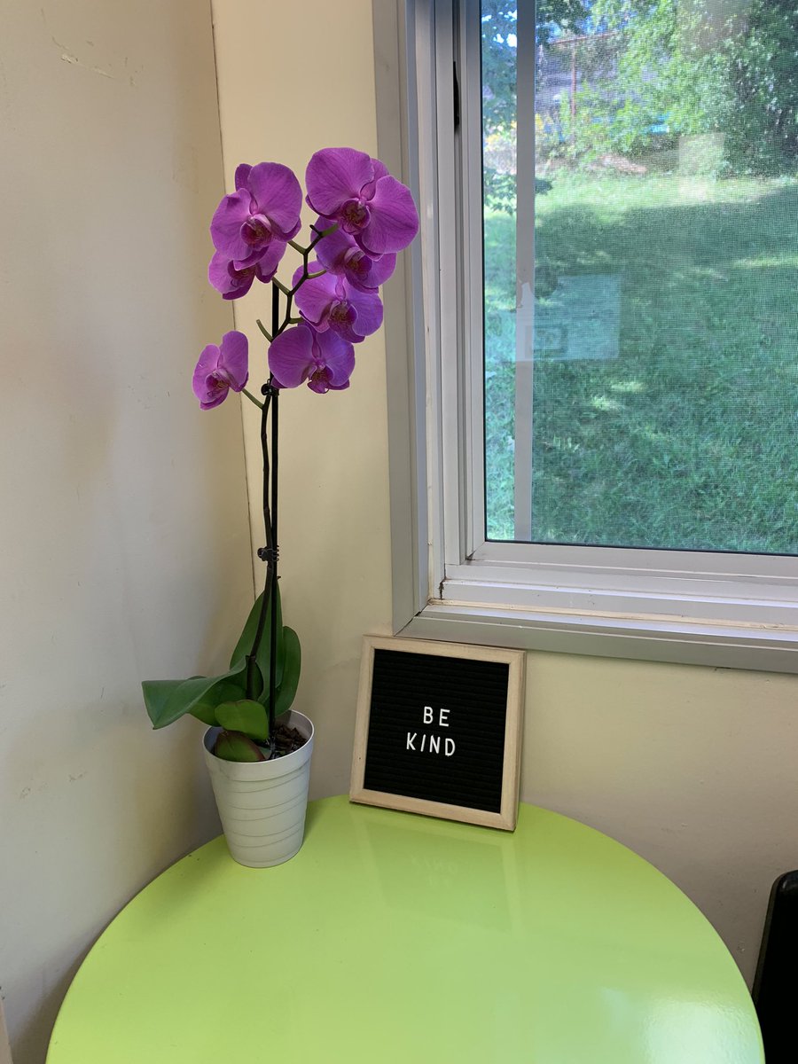 stjosephguelph's tweet image. It is so important for our classrooms to provide positive words and strategies for students. Key reminders when we are struggling. #BeKind #ProblemSolving #SelfRegulating