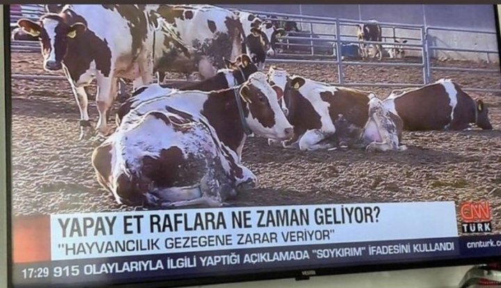 Semamarasli's tweet photo. Yapay et raflara Paris İklim Antlaşması'ndan sonra kısa zaman içerisinde gelir merak etmeyin Müslümanlar!

Onu da artık at etinden mi, it etinden mi, insan etinden mi yaparlar bu kadar zulüm yuttuktan sonra ona da kimse karışmaz herhalde.

#ParisİklimAntlasmasınaHayır https://t.co/K2ShubBdrD
