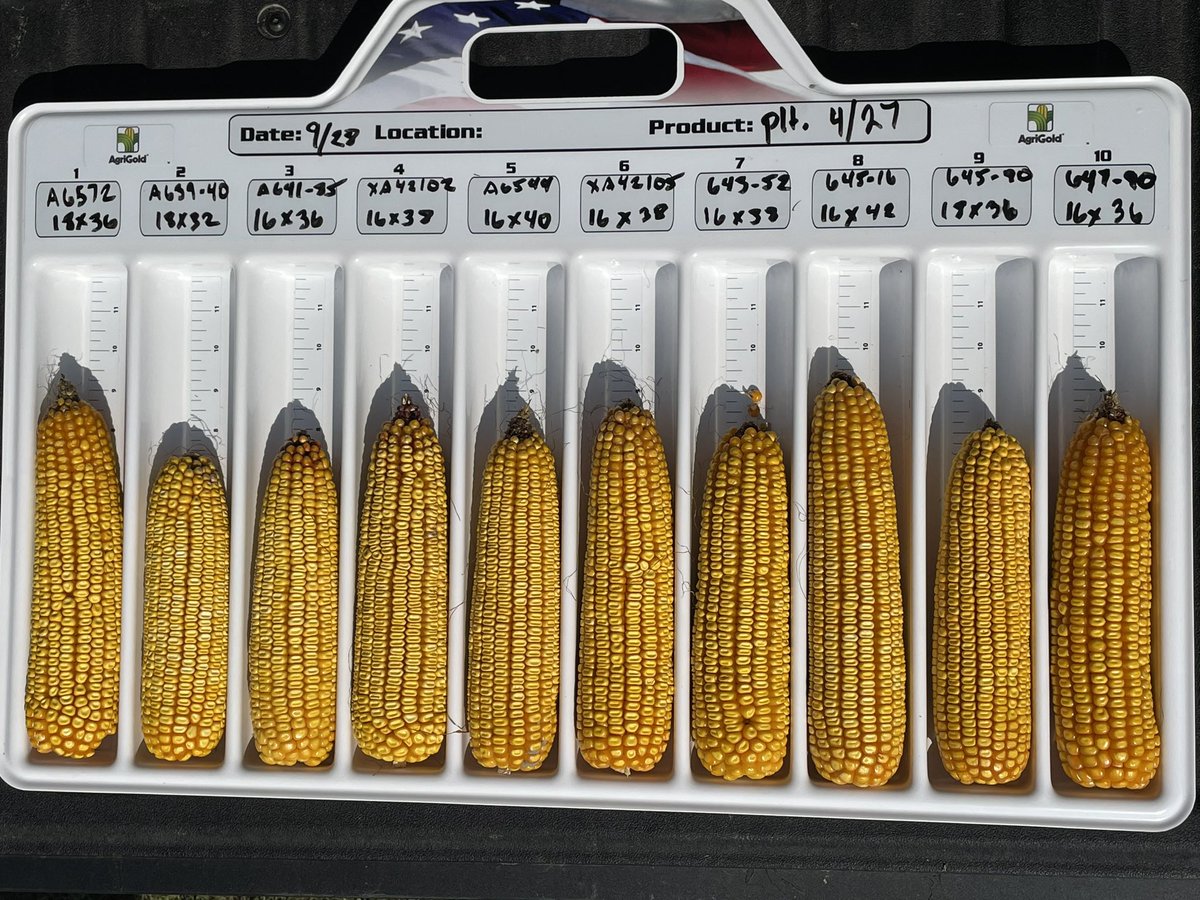 Yield data is always the outcome, but visually assessing proven <a href="/AgriGold/">AgriGold</a> hybrids compared to new/upcoming products gets me excited to run this plot in SW Ohio.