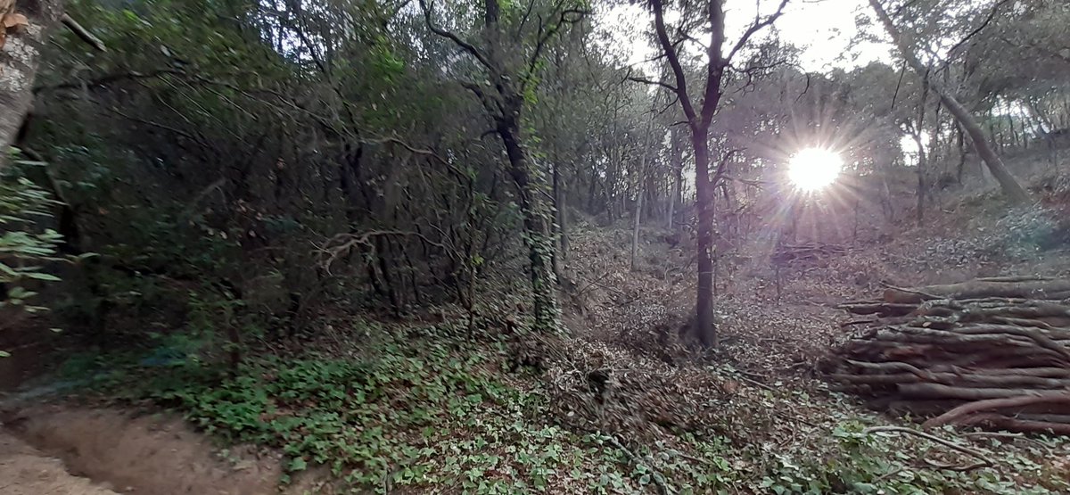 apfslc's tweet photo. Avui hem fet visita de seguiment dels treballs a la finca El Molí d'en Cuquet finançats amb el Programa anual de la @diba . seguim fent actuacions de prevenció d'incendis. 
@vilassardedalt @fedboscat https://t.co/8dxhYsTiQD
