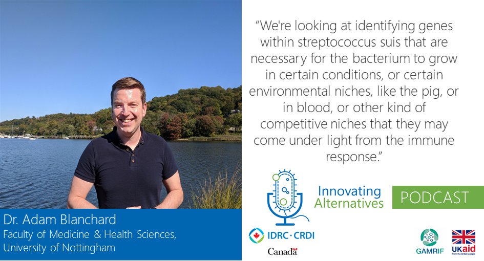 Livestock_IDRC's tweet image. How are researchers using #BigData for the development of new #vaccines against diseases that affect livestock in LMICs?💉

Listen to the #InnovatingAlternatives #podcast to find out! 

open.spotify.com/episode/0ovmJi… 

@addyblanch @Eganlab @NottinghamVets