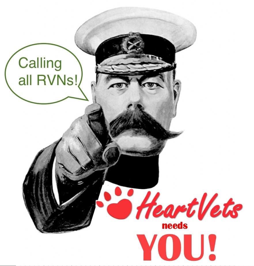 HeartVets tweet media