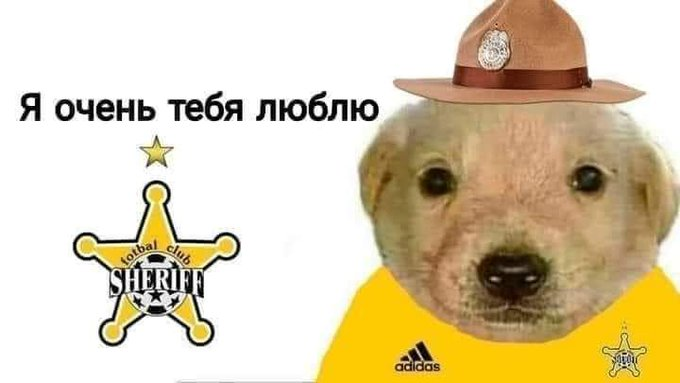 Jule (@julekako) on Twitter photo 