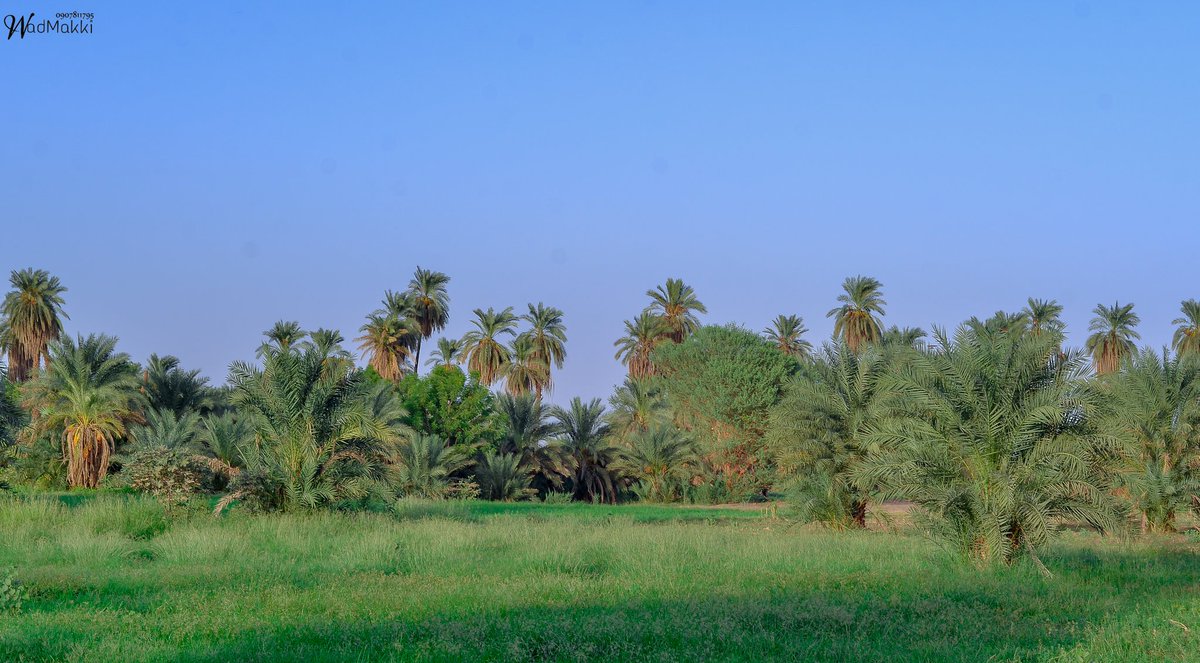 Wadmakki231's tweet photo. #السودان
الولاية الشمالية دنقلا
#السودان_بعيون_سودانية
#اليوم_العالمي_للتصوير
#wadmakki_2021 https://t.co/Kki9uP7Wwe