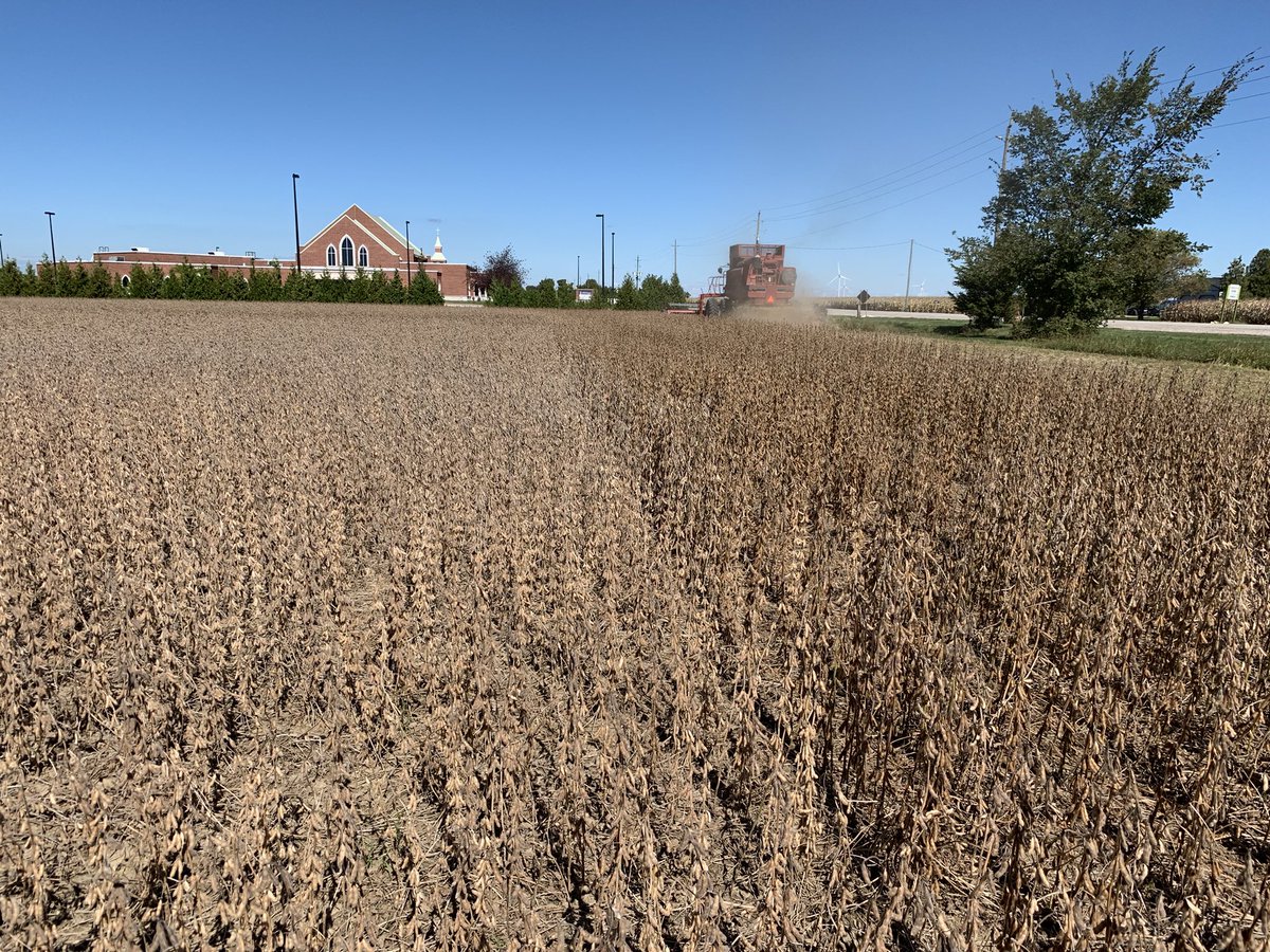 bernardwierenga's tweet photo. @driscoll_neil @jbmoffatt200 @kpiche6 some very impressive soybeans from our CROPLAN plots off today in the sunny south. Let’s see how your plots shape up #plot21 @HDCAgronomy https://t.co/Q0RMO5Dc1M