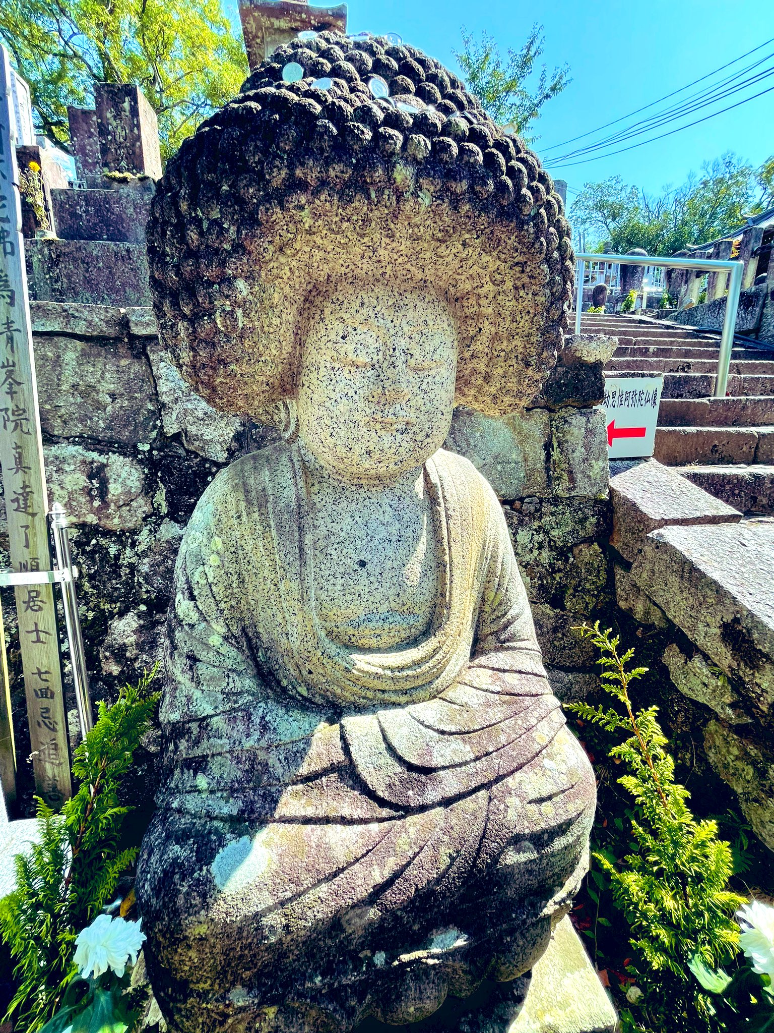 けんけん 京都 大好きインスタグラマー 京都 金戒光明寺 五劫思惟阿弥陀仏 アフロ大仏 五劫思惟阿弥陀仏 金戒光明寺 金戒光明寺山門 そうだ京都行こう Konkaikomyoji 京都カフェ Jr東海 京都観光 金戒光明寺アフロ 金戒光明寺の五劫