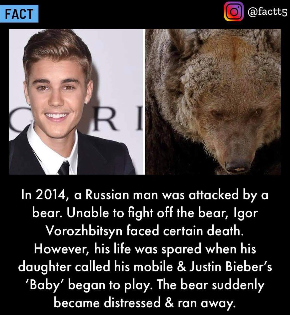GingerSpice808's tweet photo. Leave It To Bieber https://t.co/dVafCdouQZ
