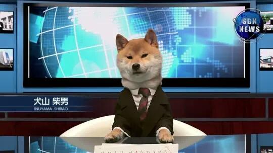 iCoerceTv's tweet photo. Lotta shit happening on the TL. https://t.co/oAy890xlia