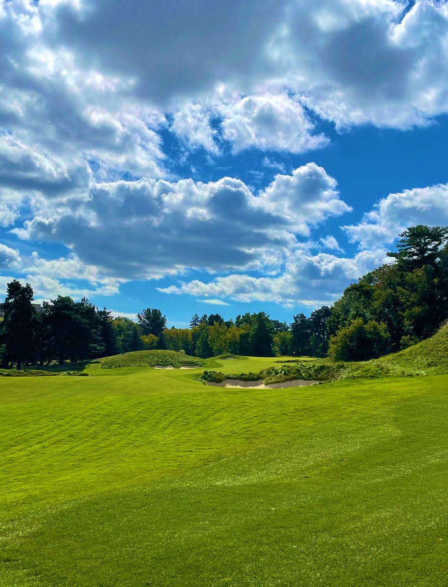 ℂ𝕒𝕞 𝕊𝕙𝕒𝕨 tweet media