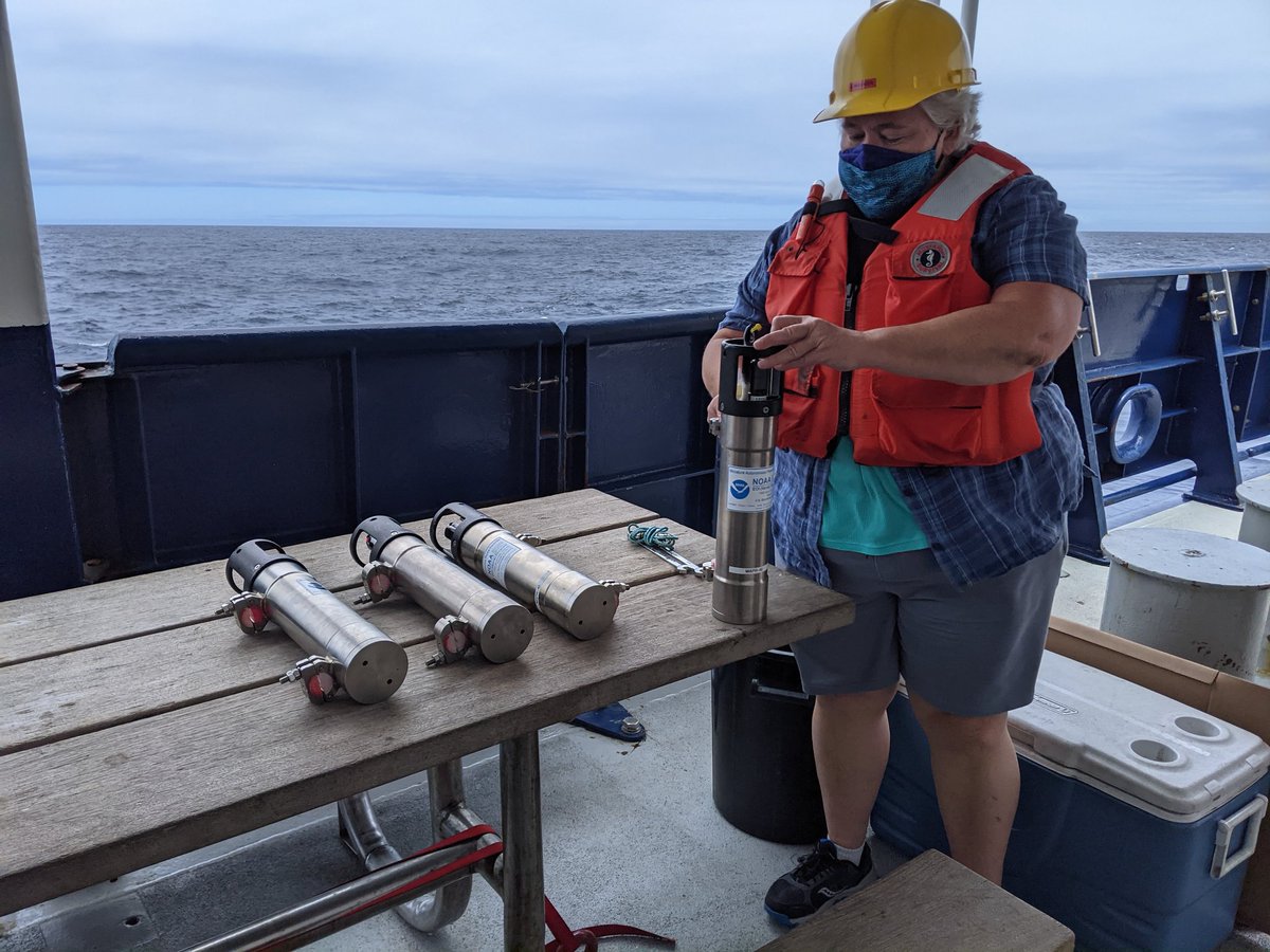 PLUME RAIDERS (RR2106) tweet media