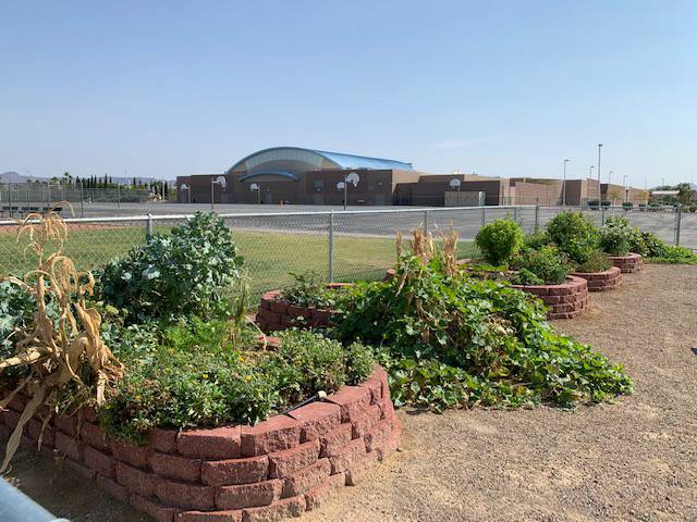 Schofield Middle School tweet media