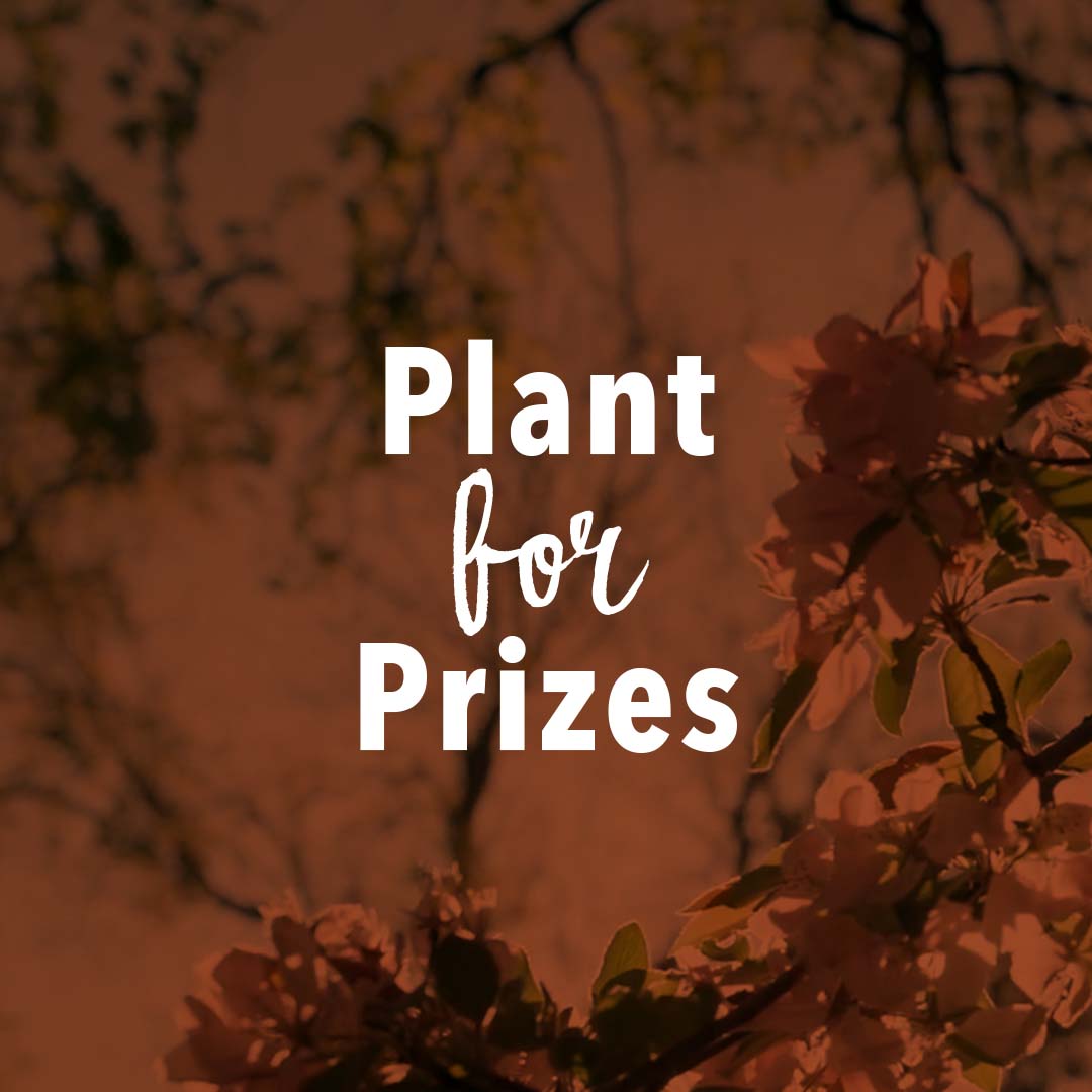 TreesWinnipeg's tweet photo. A tree for you and a tree for me!
We love seeing photos of your hard work. Share a photo of your tree with #PlantForPrizes to help spread the word and create a greener Winnipeg.
Head over to https://t.co/KHHkSegDAJ to find out how you can register to win today! #MillionTreeWPG https://t.co/7wMGwJkajf
