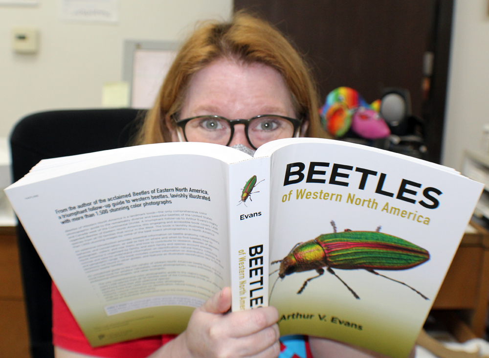 BioQuip's tweet photo. The Beetles of Western North America is out! Are you as excited as we are??
Get you copy here: https://t.co/jj7YaB4WWh
#entomology #bioquip #beetles #coleoptera https://t.co/d5KBQn3TZQ
