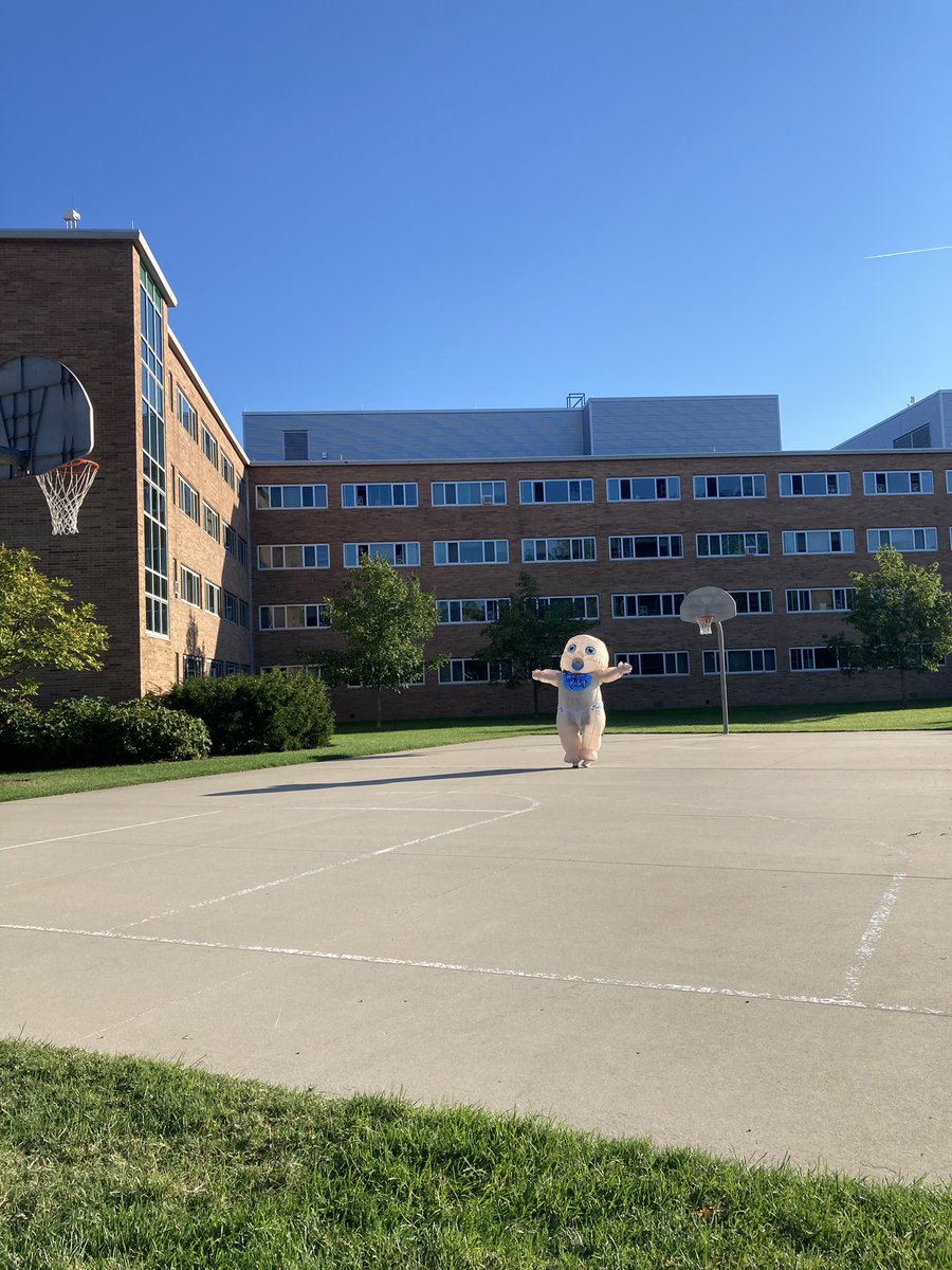 Who trynna play ball