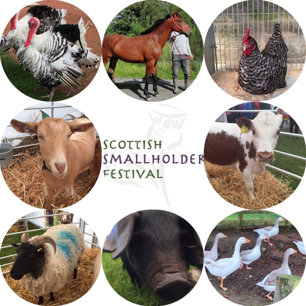 ⭐️📣BREAKING NEWS📣⭐️ 

The closing date for entries for our live shows - sheep, goats, pigs, poultry &amp; waterfowl &amp; our online cattle &amp; equine show is FRIDAY 1st OCTOBER - that's THIS Friday.

Get your skates on &amp; get your entries in!

Schedules are here ssgf.uk/exhibitors/sch…