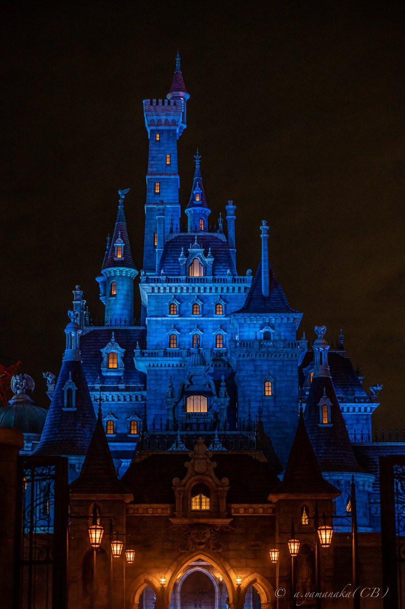 東京ディズニーランド Twitter Search