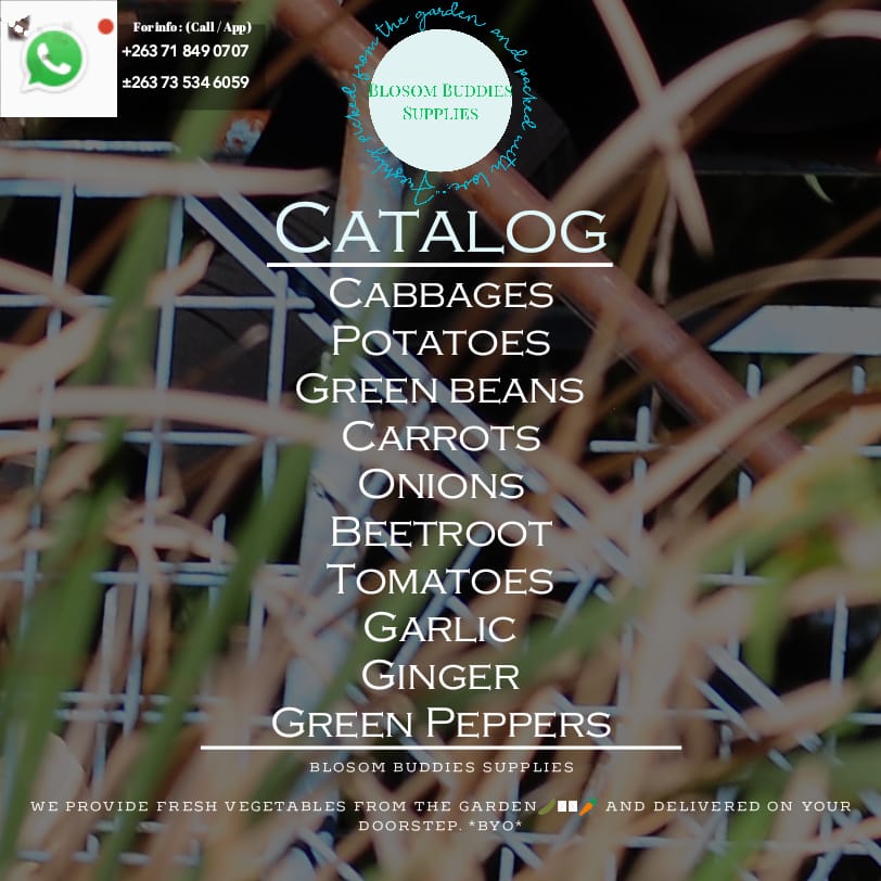 @Byo omuhle please support our Hustle at Blosom Buddies Supplies. We have amazing Hampers from 12usd(+2usd delivery)&amp;15usd(free delivery):10kg potatoes+2kg carrots+2kg Onions+1,2kg tomatoes 2heads of cabbages &amp;1kg green pepper.Deliveries made around Bulawayo.0735346059