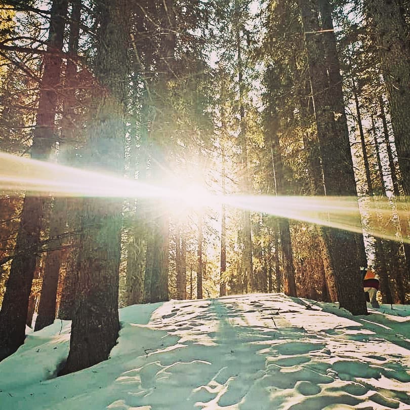 ajarnpraw's tweet photo. The forest is a socialist community, the trees work in harmony to share the sunlight. Why can't mankind be the same? #socialism #sharing #ComandanteMario #ComandanteMarioMotta #Lumbriffstan  #nature #thehighlands
#lovemountains #nohunting #nohunters #hunterswankers #huntismurder https://t.co/Qaa8uHAg0e