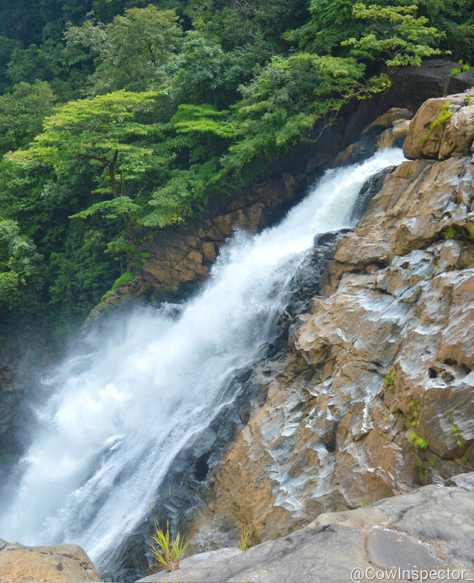 cowinspector_'s tweet photo. ಬೆಣ್ಣೆ ಹೊಳೆ ಜಲಪಾತ #UttaraKannada https://t.co/GPjZMCflzT