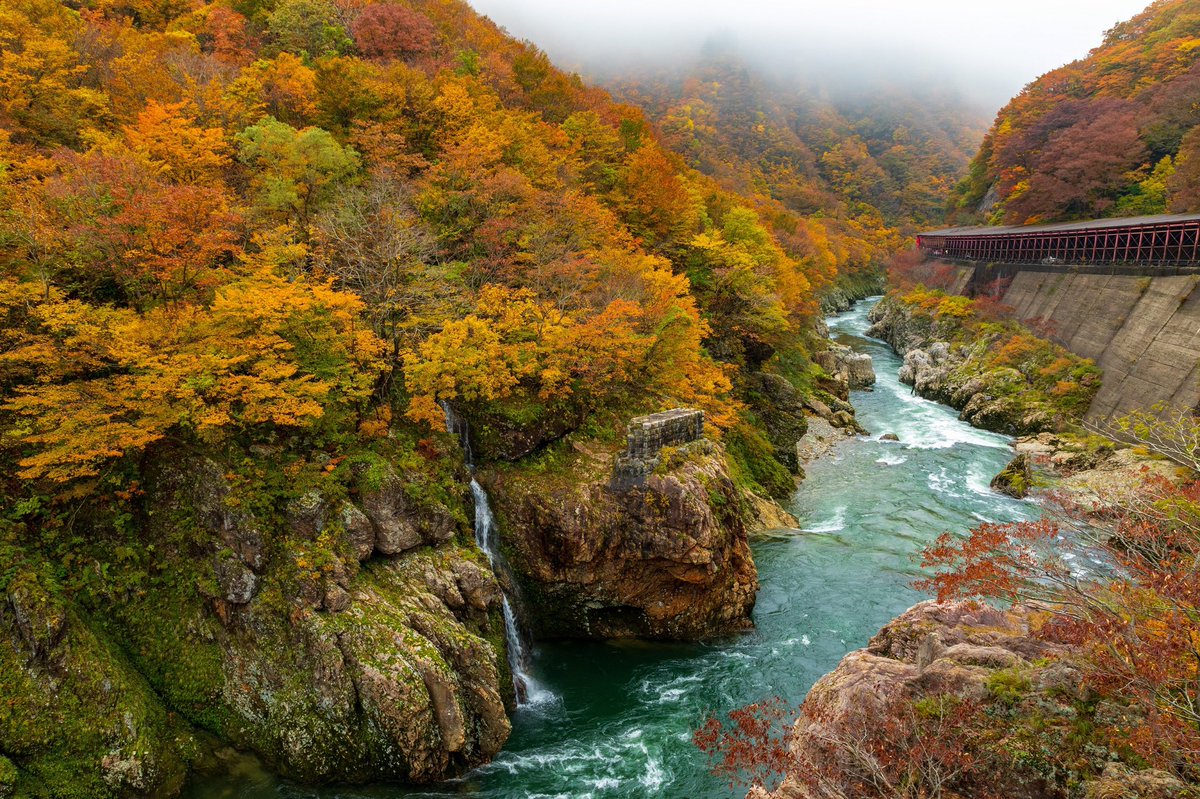 Tweets With Replies By Christopher Pulleyn Kurisup Twitter