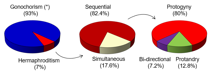 Group of Biology of Reproduction tweet media