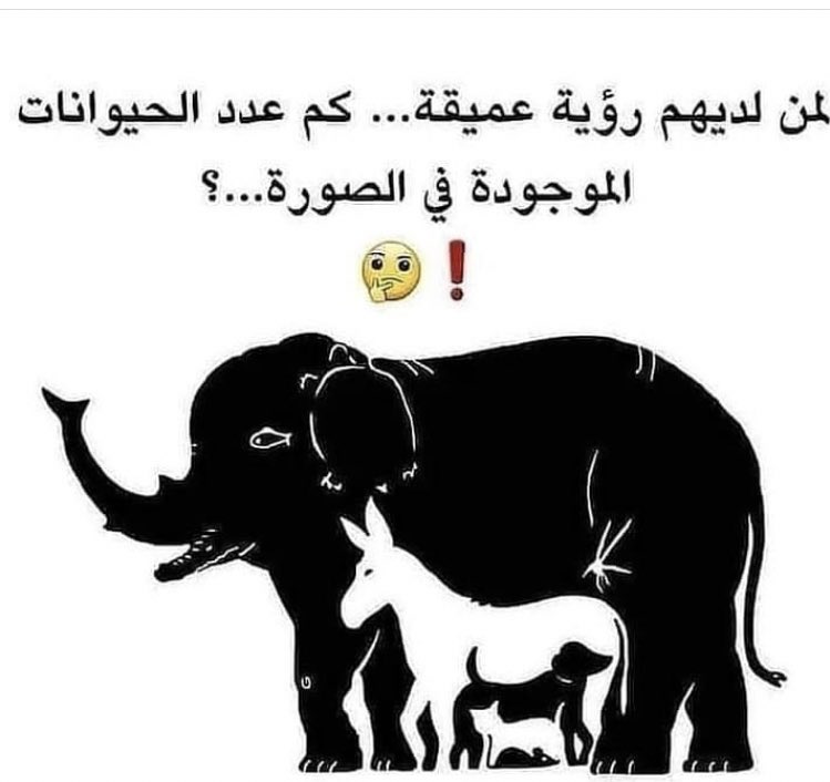 facts444's tweet photo. https://t.co/aj7Oo4YiRj