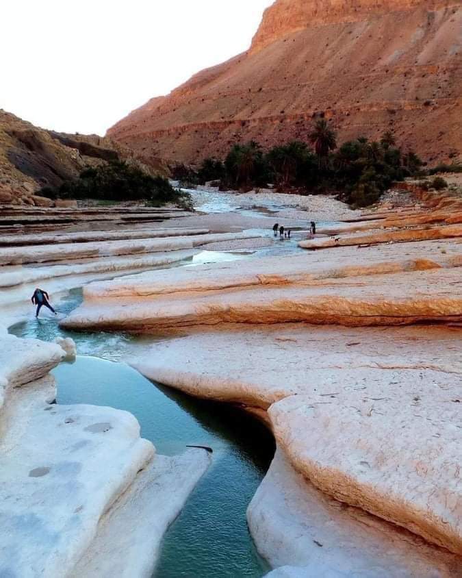 amazingAlgeriaa's tweet photo. #Khenchela...#Chechar...paysage superbe...🌳🌿🌴 https://t.co/FFc2ztehrO