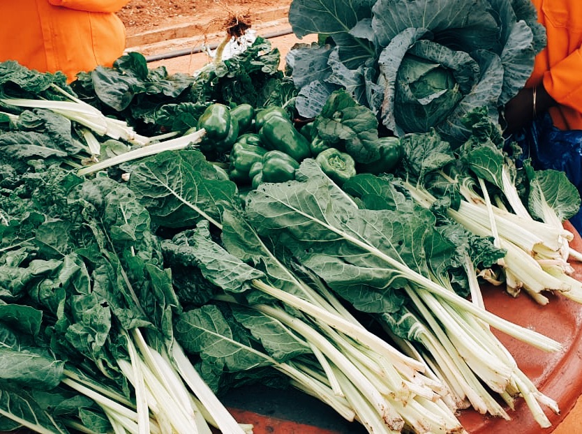 ftfa's tweet photo. October is #WorldFoodMonth! We're taking a look at ways to eat locally-grown food and the "locavore" movement which is encouraging people to eat food produced within a certain distance, reduce their carbon footprint, and support local farmers: https://t.co/S53XKTDOg5. https://t.co/c3Gls3l69k