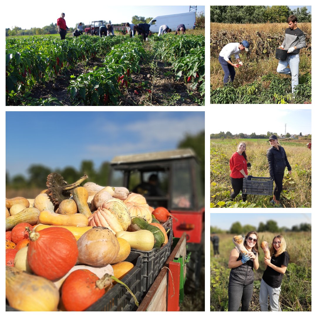 ESSCA Budapest Campus tweet media