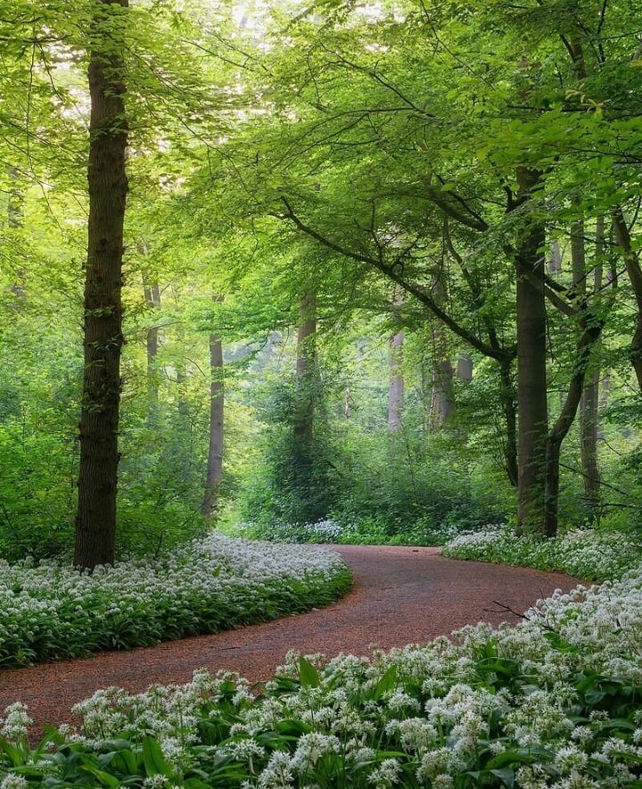 SummerK17742538's tweet photo. Wednesday Morning 🟩🟩🟩🟩 https://t.co/XFm5oInP1w