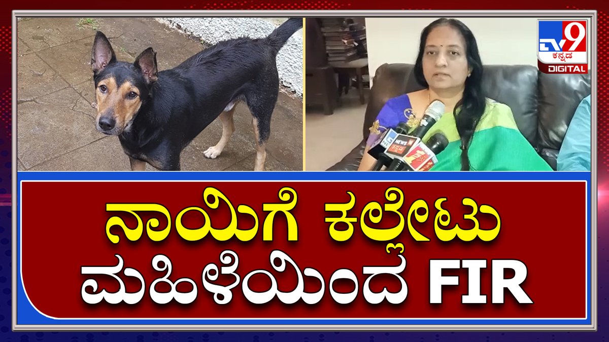 tv9kannada's tweet photo. ನಾಯಿಗೆ ಕಲ್ಲು ಹೊಡೆದಿದ್ದಕ್ಕೆ ಪಕ್ಕದ ಮನೆಯವರ ಮೇಲೆ ಕೇಸ್ | TV9Kannada
Video Link►https://t.co/YqCKZeytzw
#TV9Kannada #Dogsfight #Bengaluru #Fir #dogcase #Police https://t.co/3iKCDI5xcr